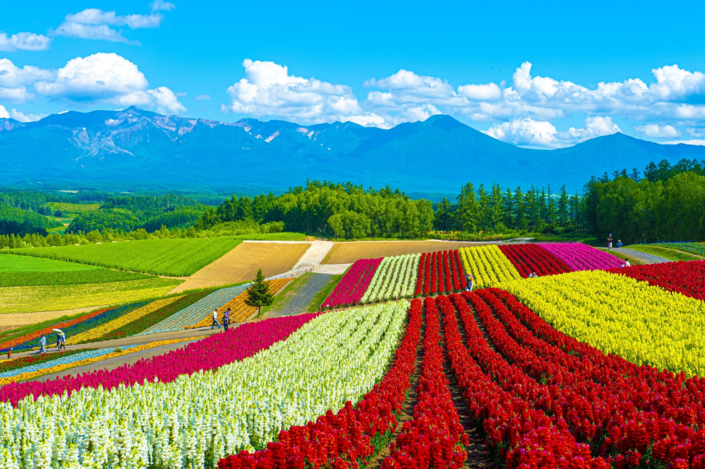 hokkaido